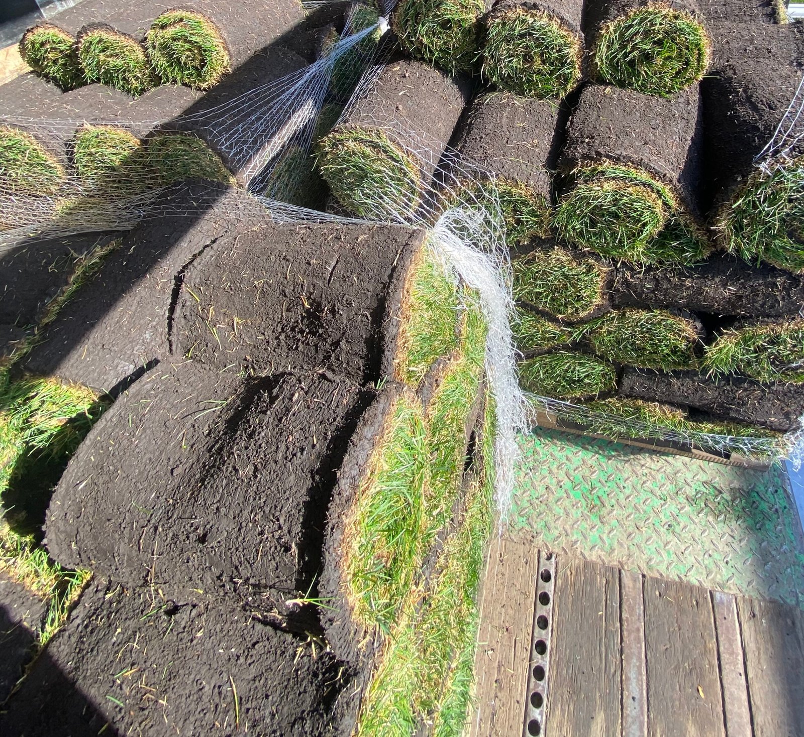 sod installation